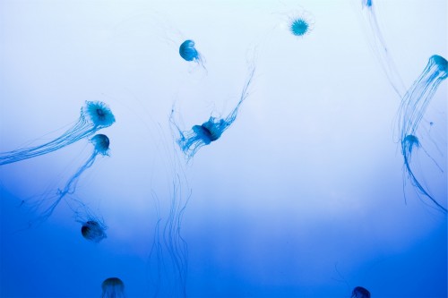 Within the Depths