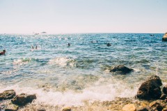 Swimming with Sharks