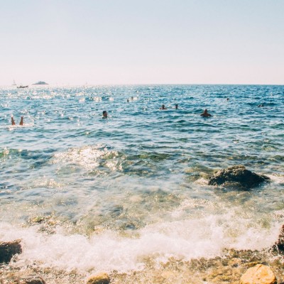 Swimming with Sharks