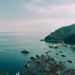 Bay of Boats
